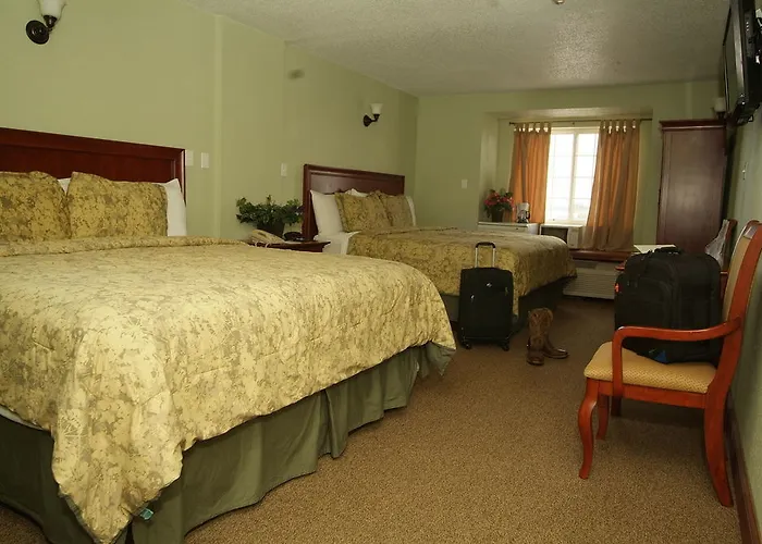 Expo Hotel 2*